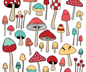 Mushrooms
